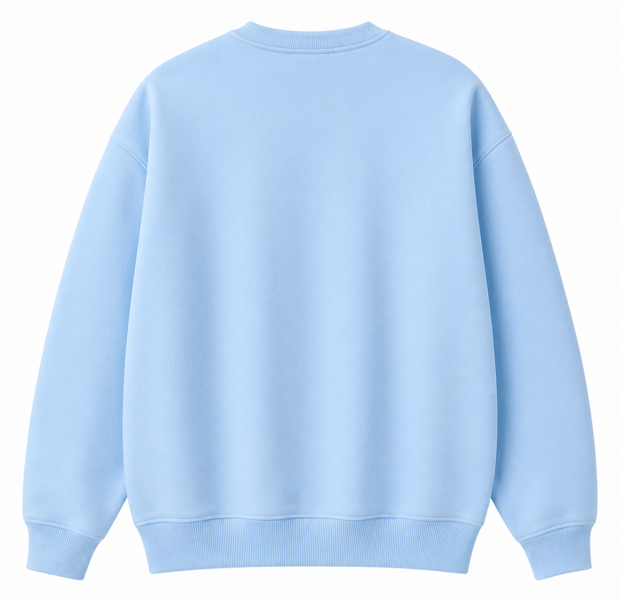 Sweatshirt Baby Blue Test