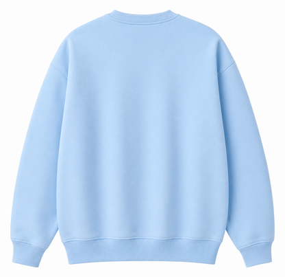 Sweatshirt Baby Blue Test