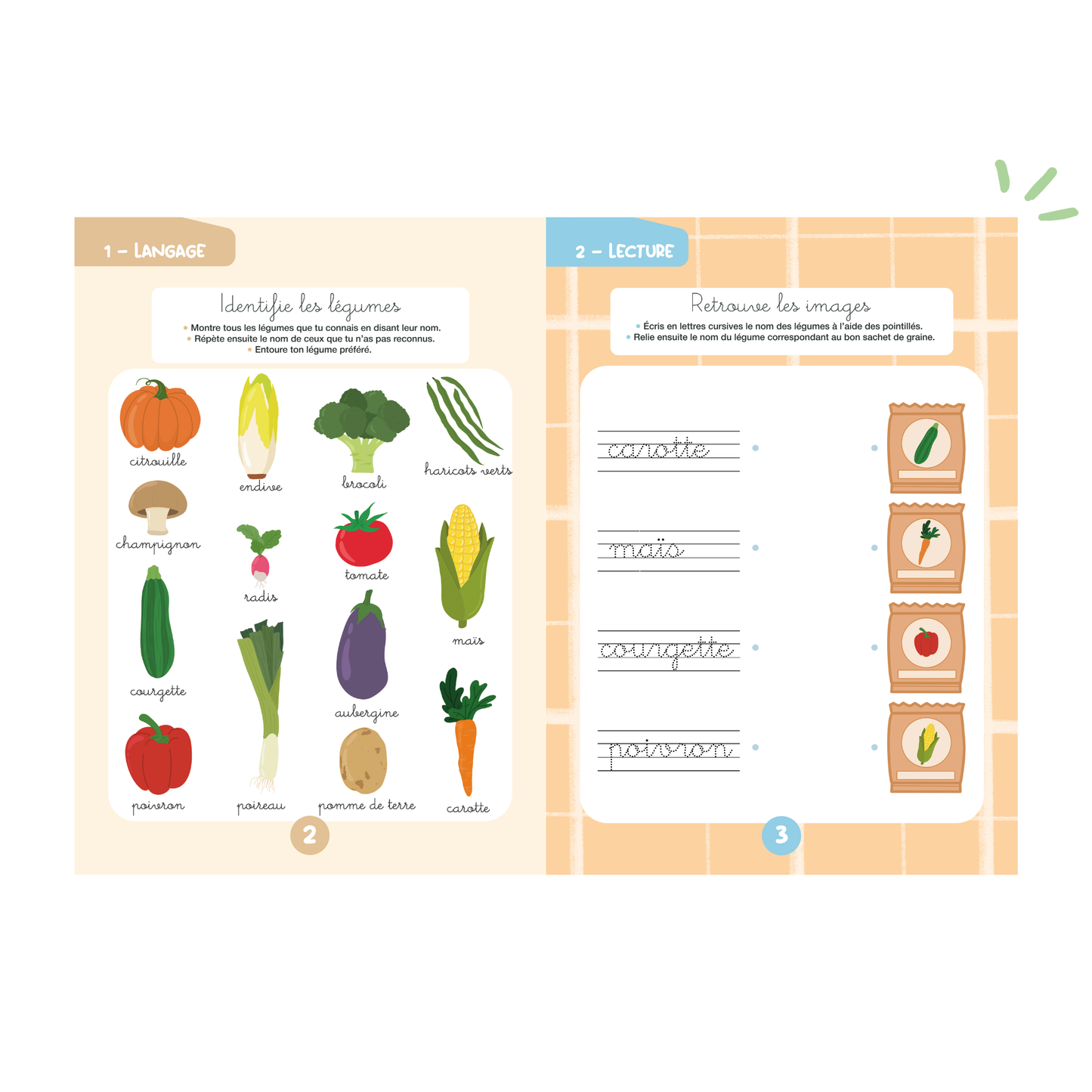 Activity kit 5-6 years